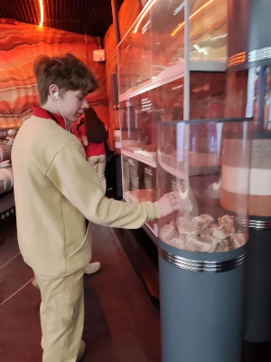 �����������