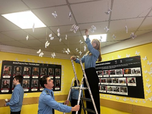 �����������