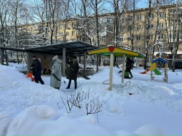 �����������