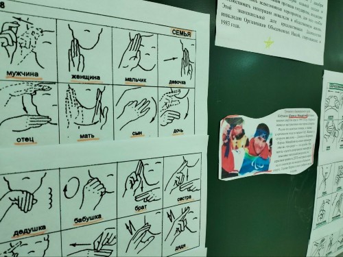 �����������