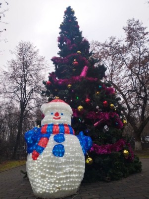 �����������