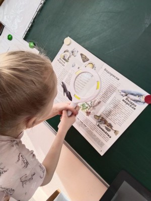 �����������